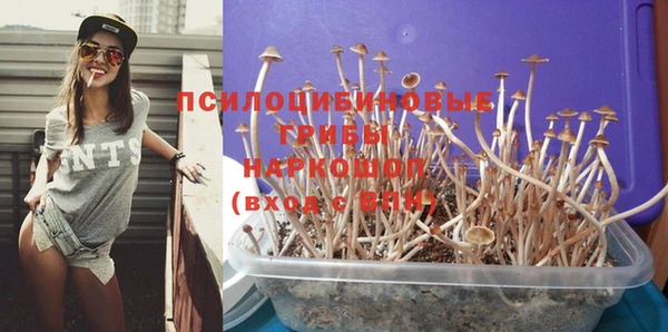 дмт Нея