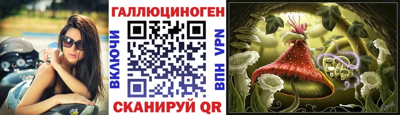 Псилоцибиновые грибы Cubensis  darknet состав  Сясьстрой 