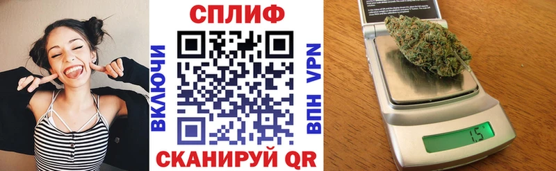 купить   Сясьстрой  Конопля семена 